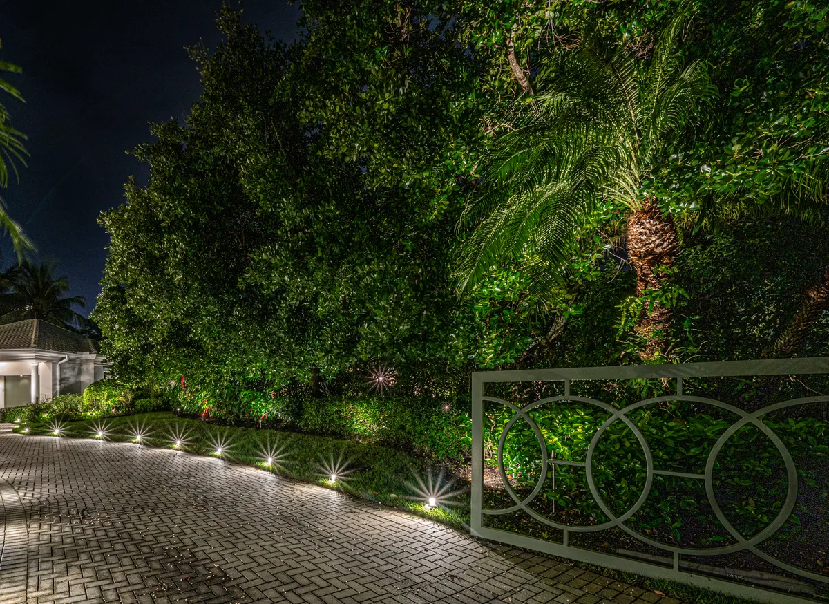 Specimen oak at night with layered canopy and trunk lighting over a driveway